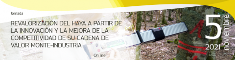 El GO Fagus celebra el día 5 de noviembre su primera jornada sobre la revalorización de los hayedos