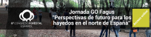 GO Fagus en el 8º Congreso Forestal Español