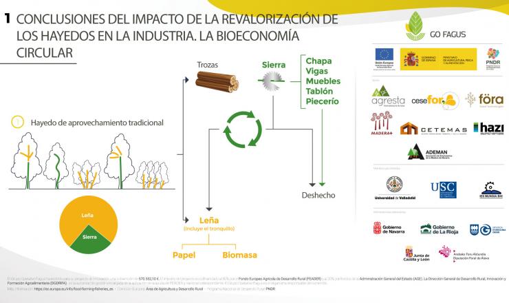 Conclusiones 1