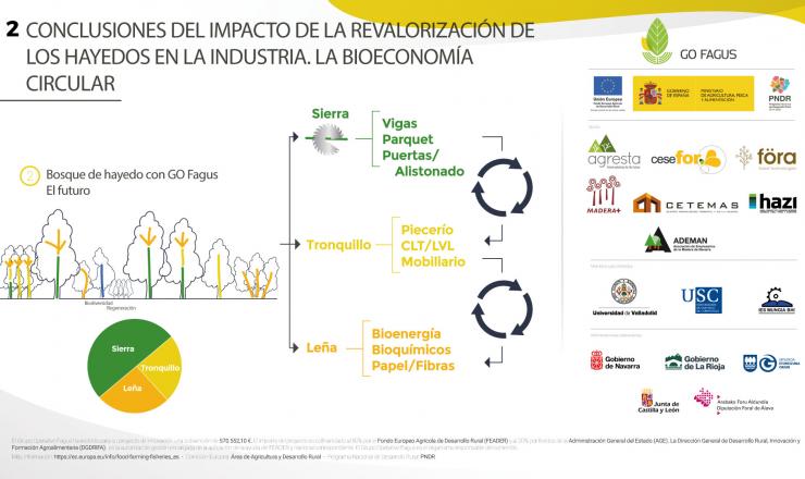 Conclusiones 2