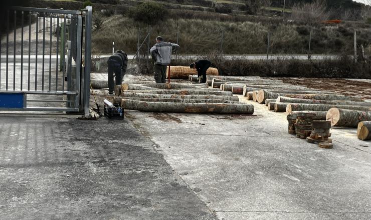 TRABAJOS TECNICOS - ASERRADERO TAFALLA