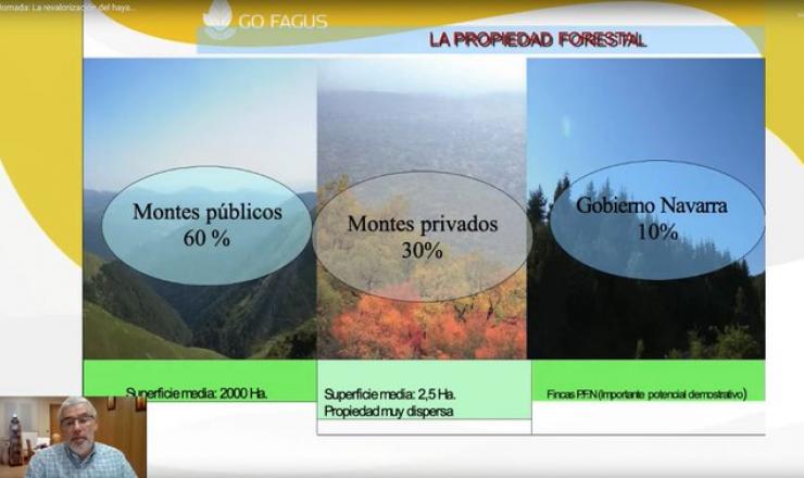 Jornada sobre revalorización del haya del GO Fagus. 5 de noviembre 2021