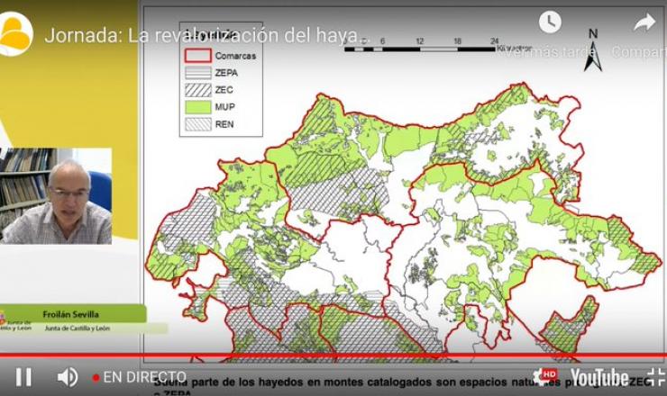 Jornada sobre revalorización del haya del GO Fagus. 5 de noviembre 2021