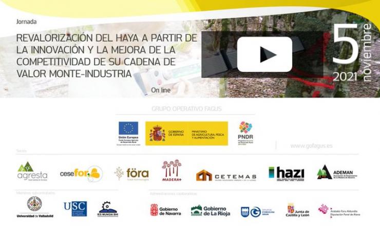 Jornada sobre revalorización del haya del GO Fagus. 5 de noviembre 2021