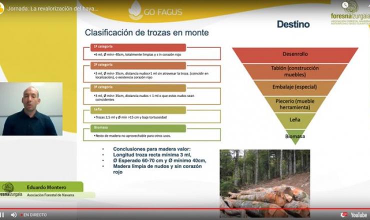 Jornada sobre revalorización del haya del GO Fagus. 5 de noviembre 2021