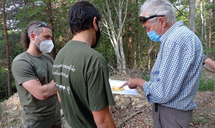 Trabajos de investigación en las parcelas del GO Fagus en Burgos, Álava y Gipúzcoa. Fotografías realizadas por Esther Merlo. Madera Plus